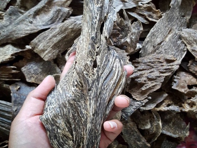 best agarwood
