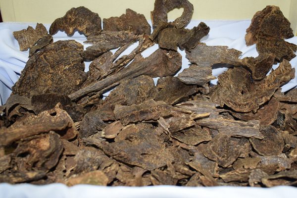 Cambodian Double Super Agarwood