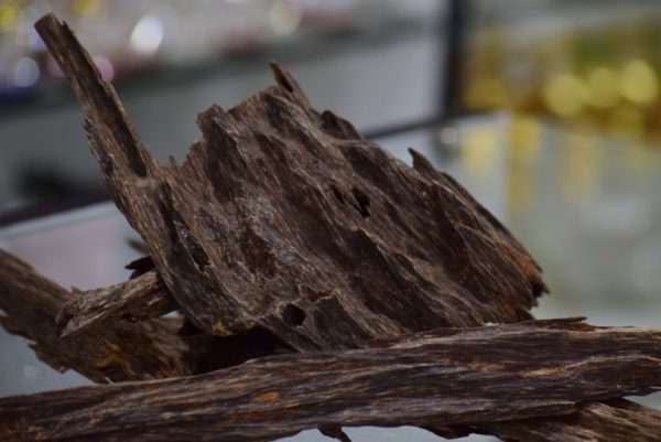 Brunei agarwood big chips