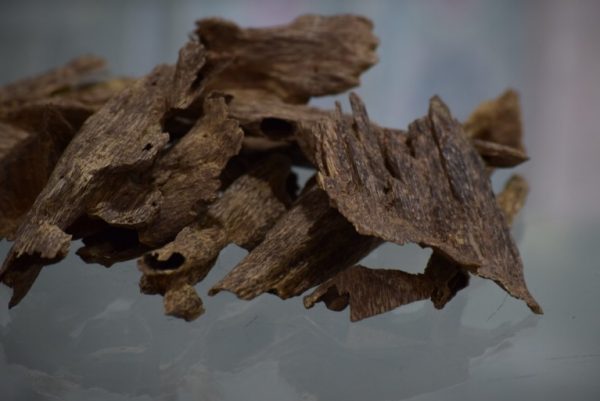 Burmese Agarwood