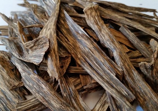 what is agarwood