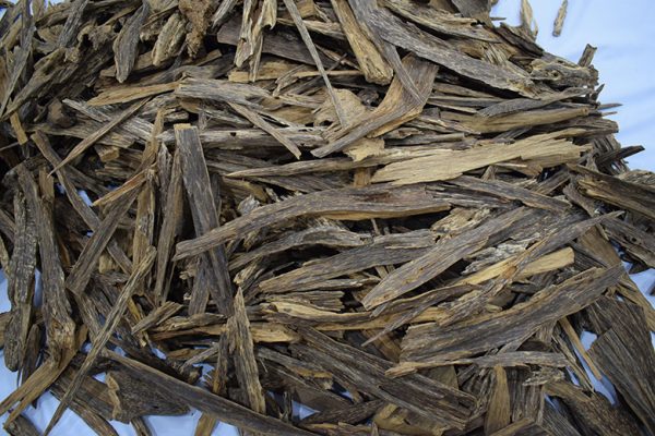 Vietnams agarwood