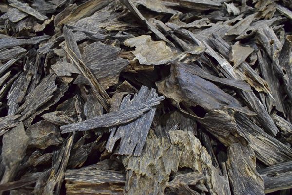 Malaysia Terengganu Super Agarwood