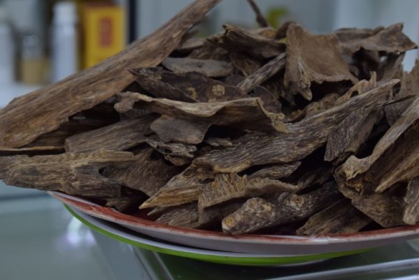 malaysian kelentan agarwood