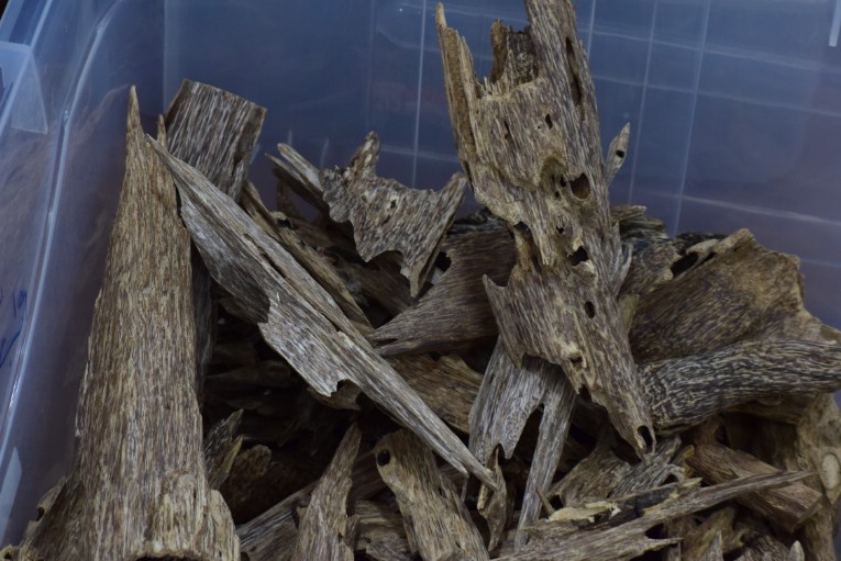 fine quality of Vietnamese agarwood