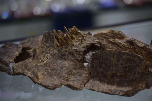 agarwood from Vietnam